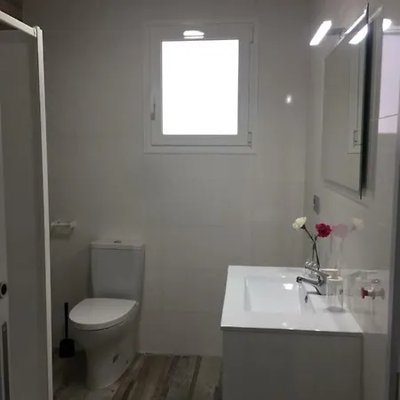 Loft Alfa